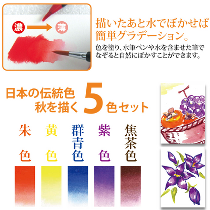 SAI watercolour brush pens 5-colour set