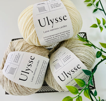 Ulysse メリノウール　合細