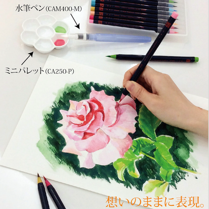 SAI watercolour brush pens 20-colour set