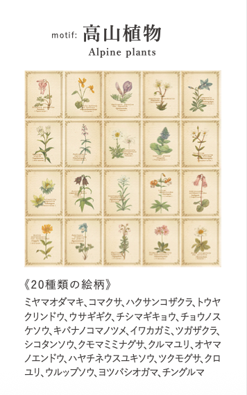 RETRONOME 図鑑風 小さなメッセージカードBOX