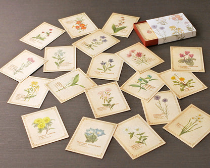 RETRONOME 図鑑風 小さなメッセージカードBOX