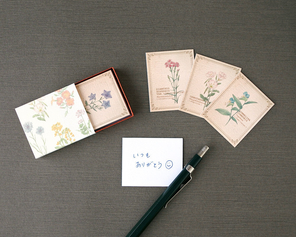 RETRONOME 図鑑風 小さなメッセージカードBOX