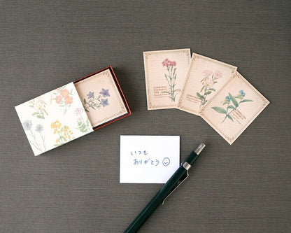 RETRONOME 図鑑風 小さなメッセージカードBOX