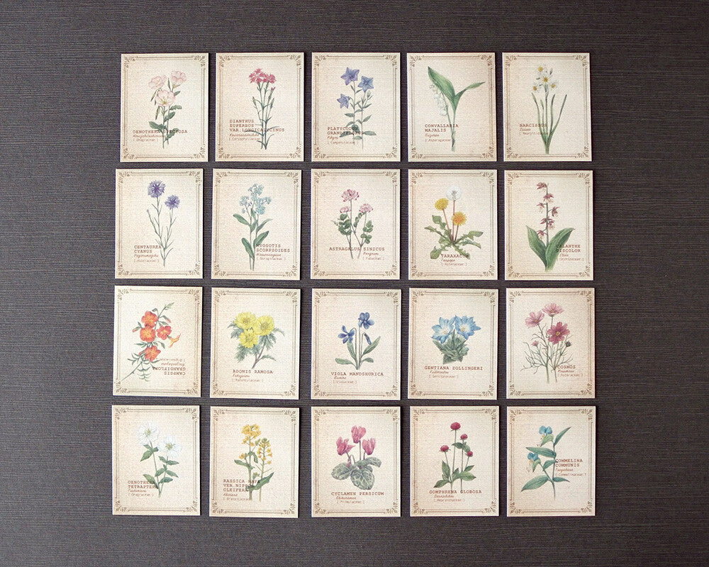 RETRONOME 図鑑風 小さなメッセージカードBOX