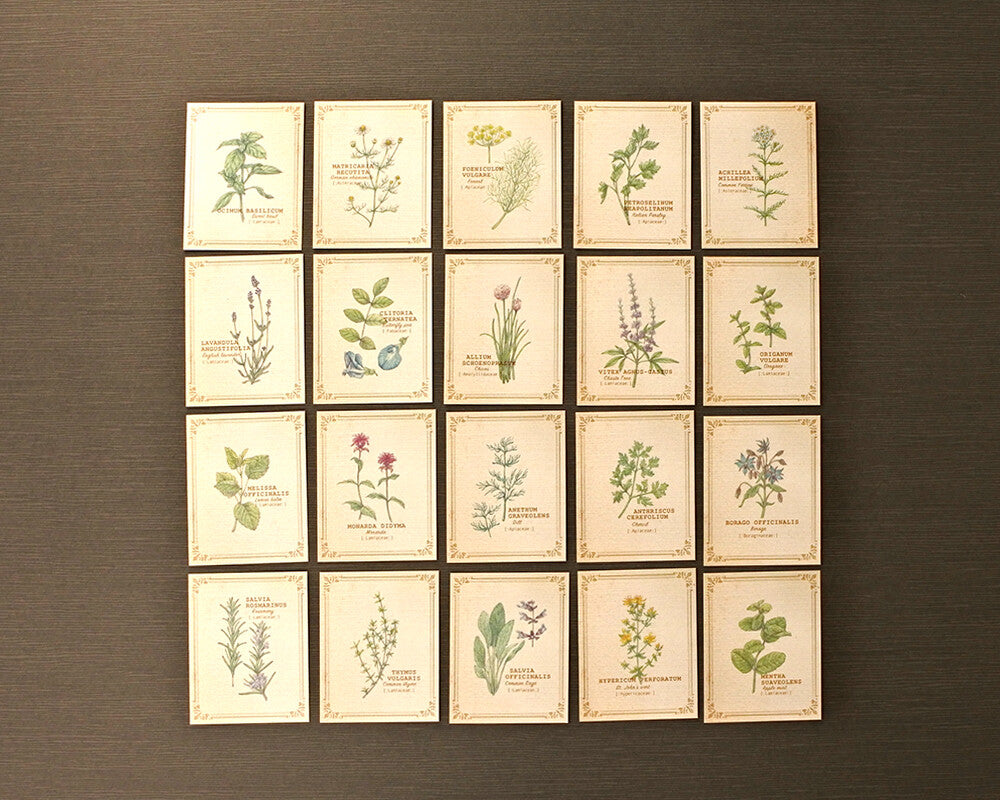 RETRONOME 図鑑風 小さなメッセージカードBOX