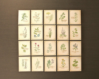 RETRONOME 図鑑風 小さなメッセージカードBOX