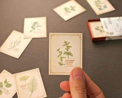 RETRONOME 図鑑風 小さなメッセージカードBOX