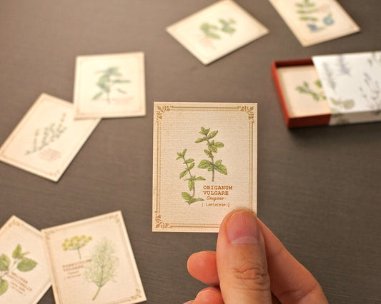 RETRONOME 図鑑風 小さなメッセージカードBOX