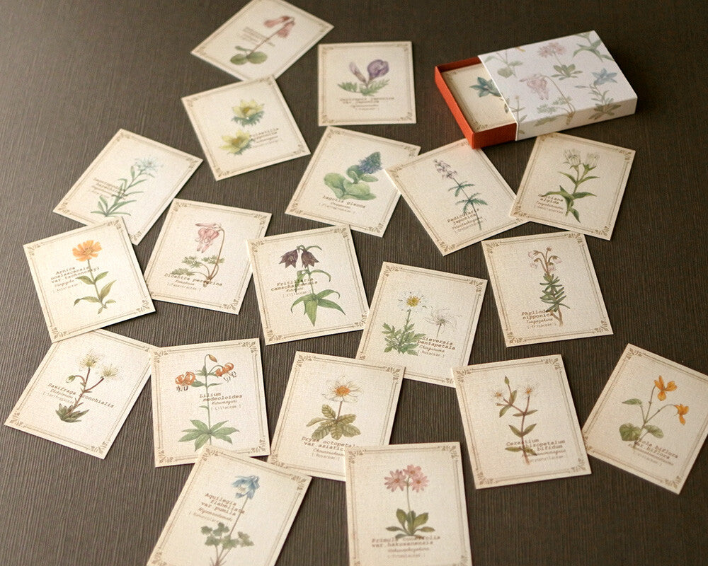 RETRONOME 図鑑風 小さなメッセージカードBOX