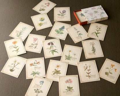 RETRONOME 図鑑風 小さなメッセージカードBOX