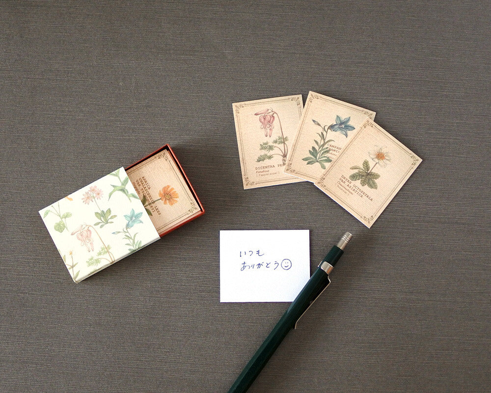 RETRONOME 図鑑風 小さなメッセージカードBOX