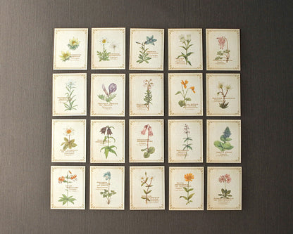 RETRONOME 図鑑風 小さなメッセージカードBOX