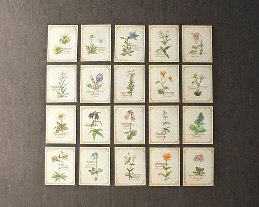 RETRONOME 図鑑風 小さなメッセージカードBOX