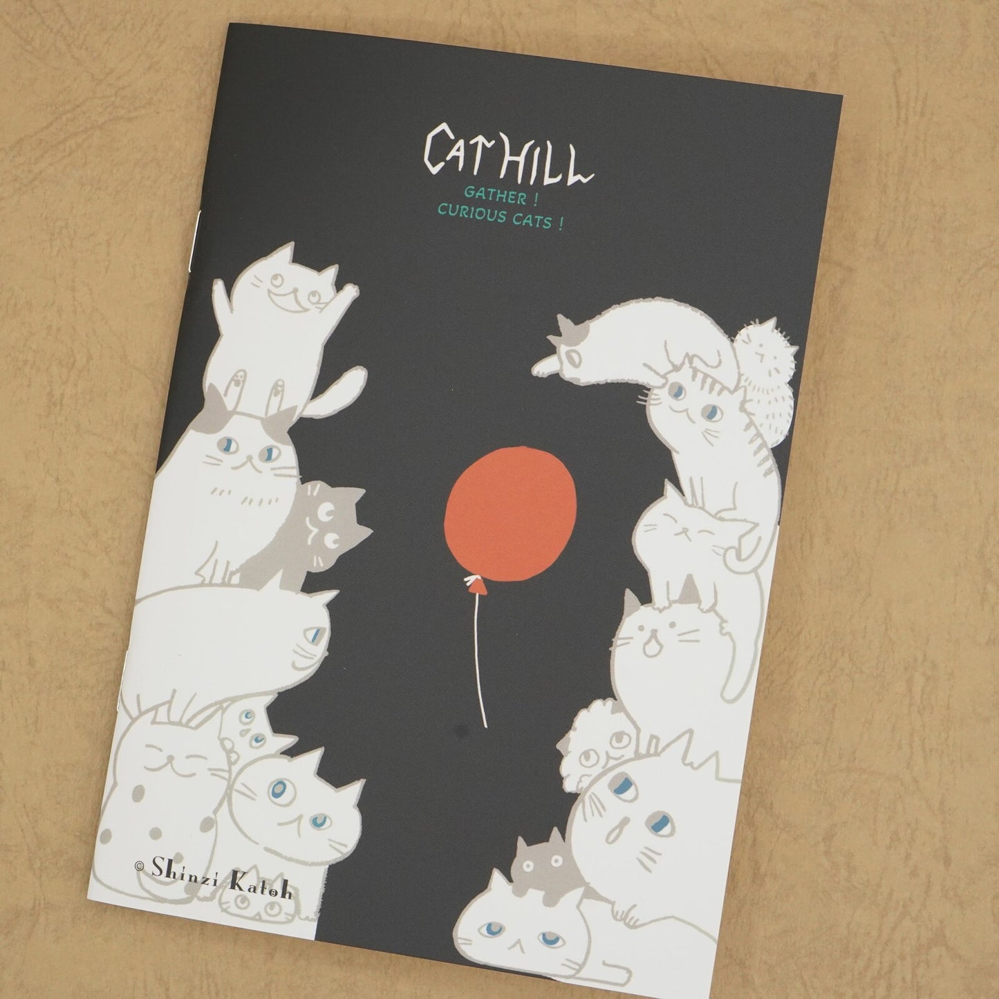 SHINZI KATOH Cat Hill B6 notebook