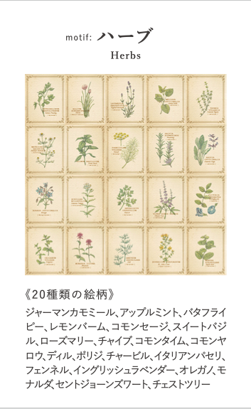 RETRONOME 図鑑風 小さなメッセージカードBOX