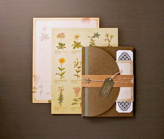 RETRONOME 図鑑風 レターセット