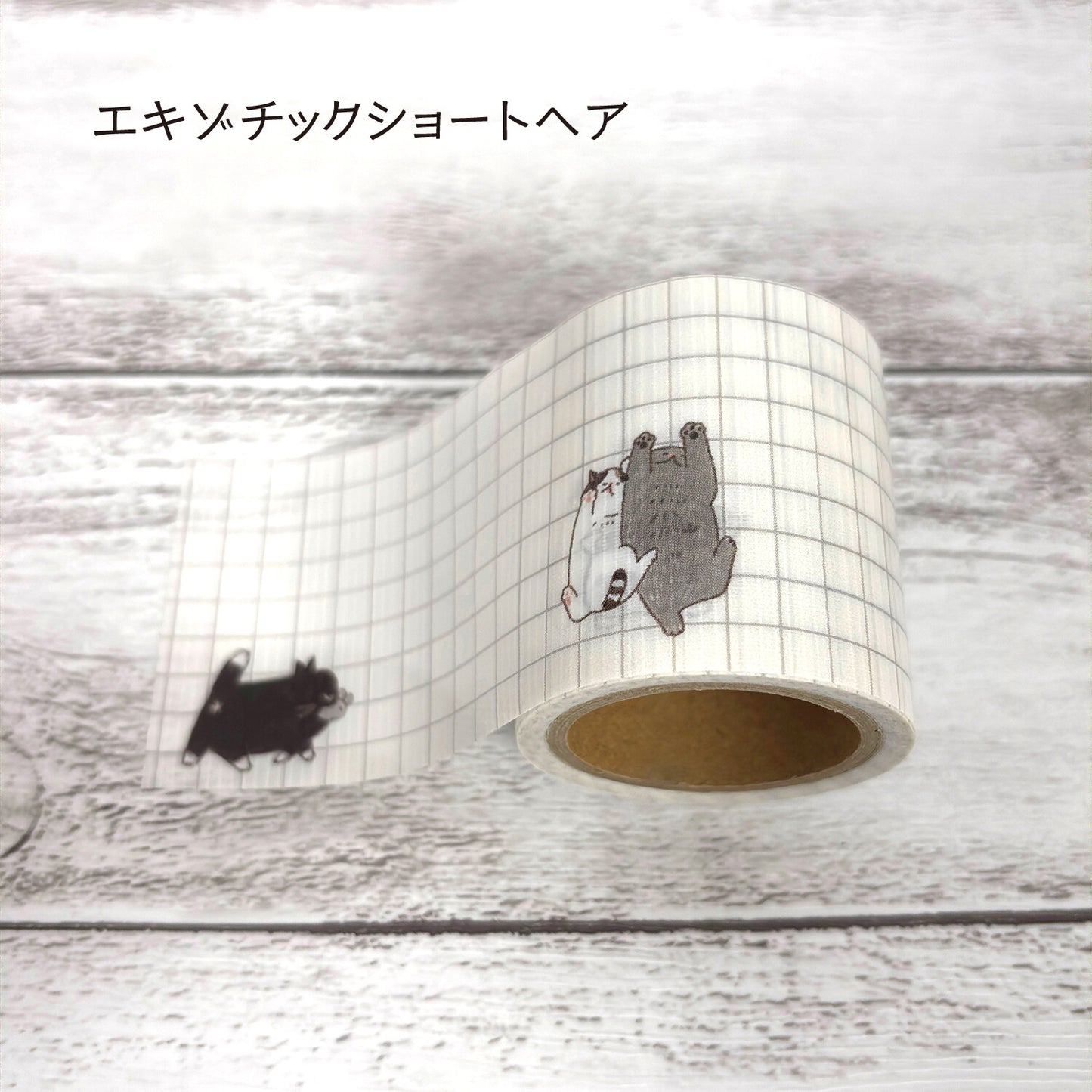 SHINZI KATOH 養生テープ