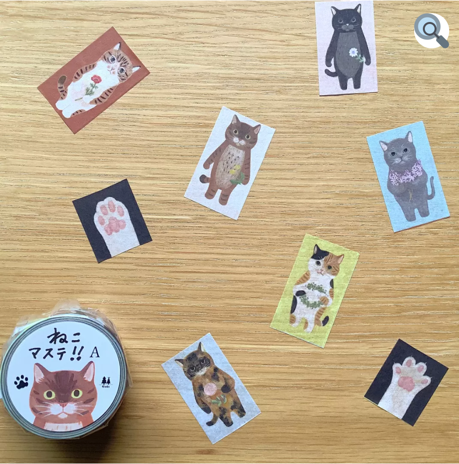 CATS IN PICTURE BOOKS masking tape
