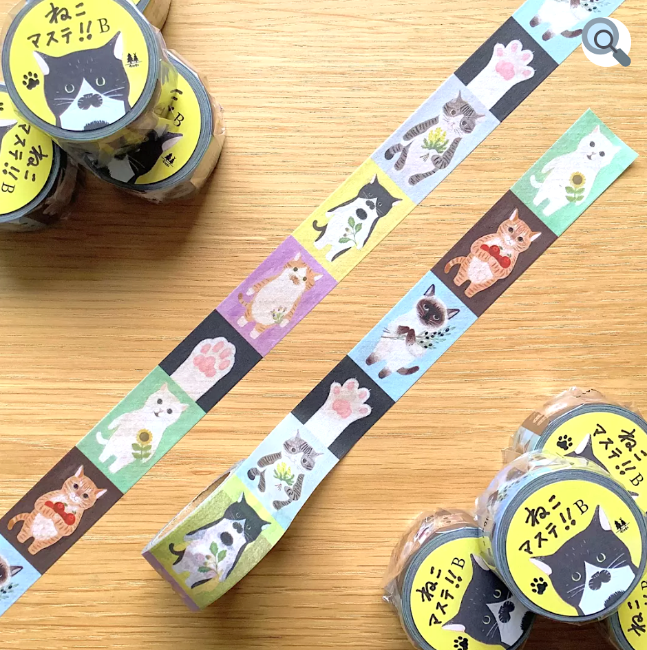CATS IN PICTURE BOOKS masking tape