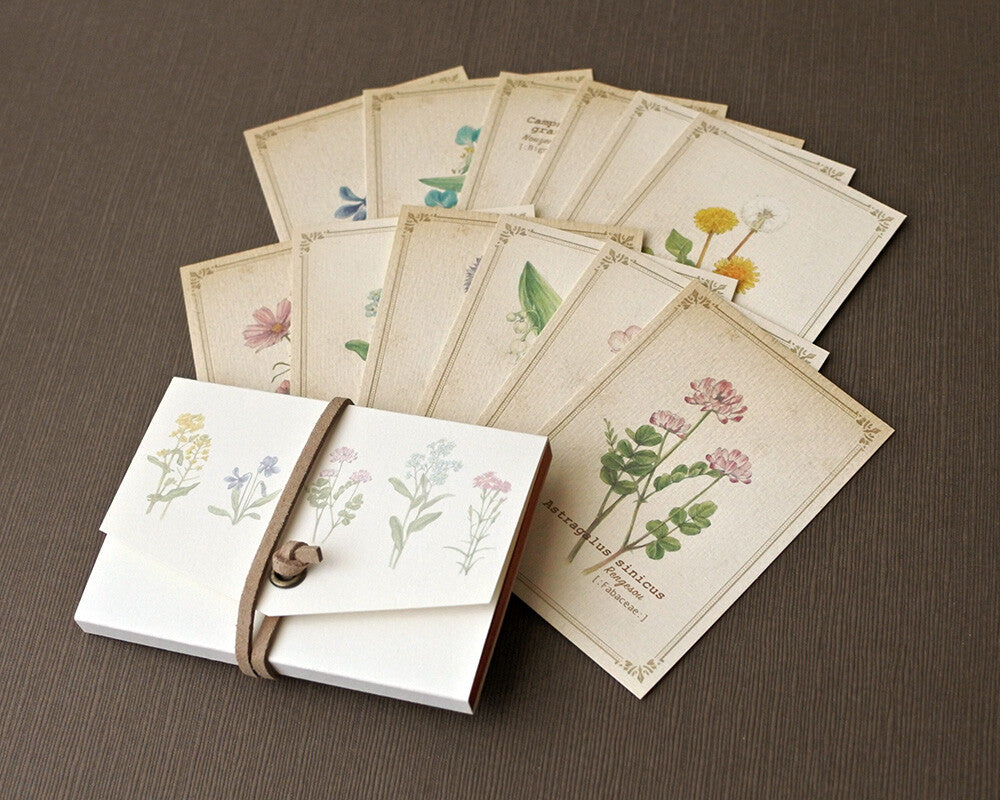 RETRONOME note cards set