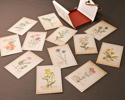 RETRONOME note cards set