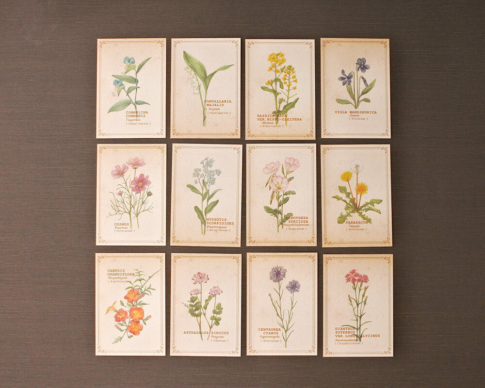 RETRONOME note cards set