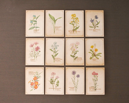 RETRONOME note cards set