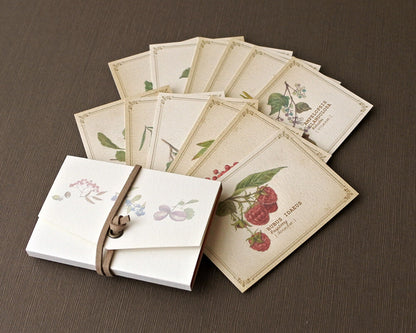 RETRONOME note cards set