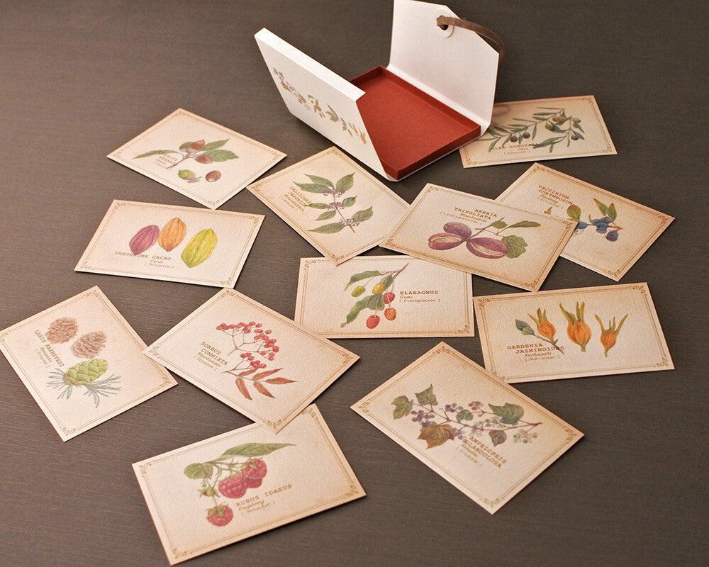 RETRONOME note cards set