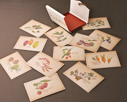 RETRONOME note cards set