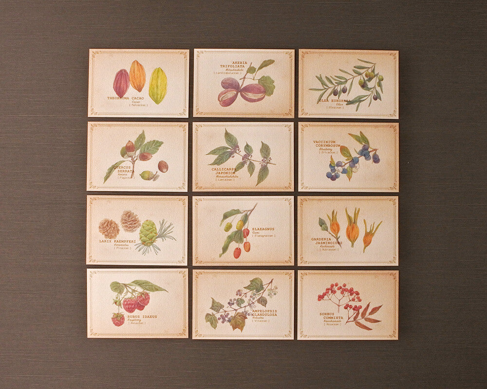 RETRONOME note cards set