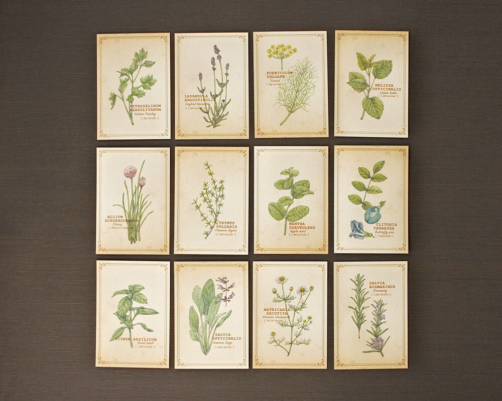 RETRONOME note cards set