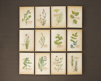 RETRONOME note cards set