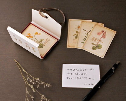 RETRONOME note cards set