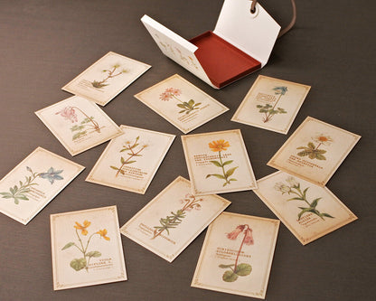 RETRONOME note cards set