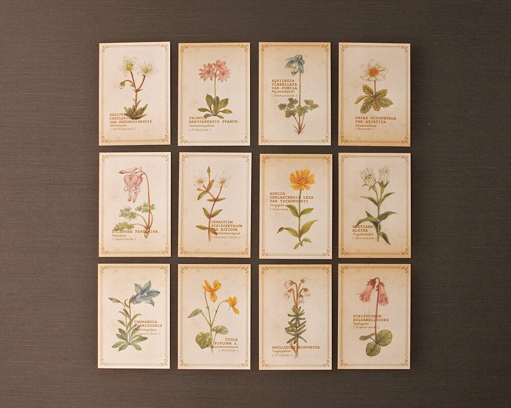 RETRONOME note cards set