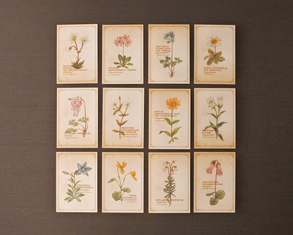RETRONOME note cards set