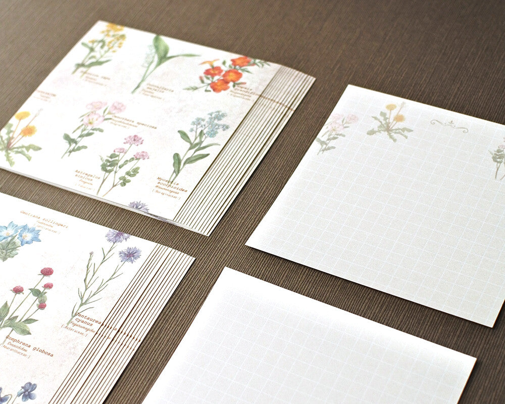 RETRONOME 図鑑風メモ便箋 (ケース付け）