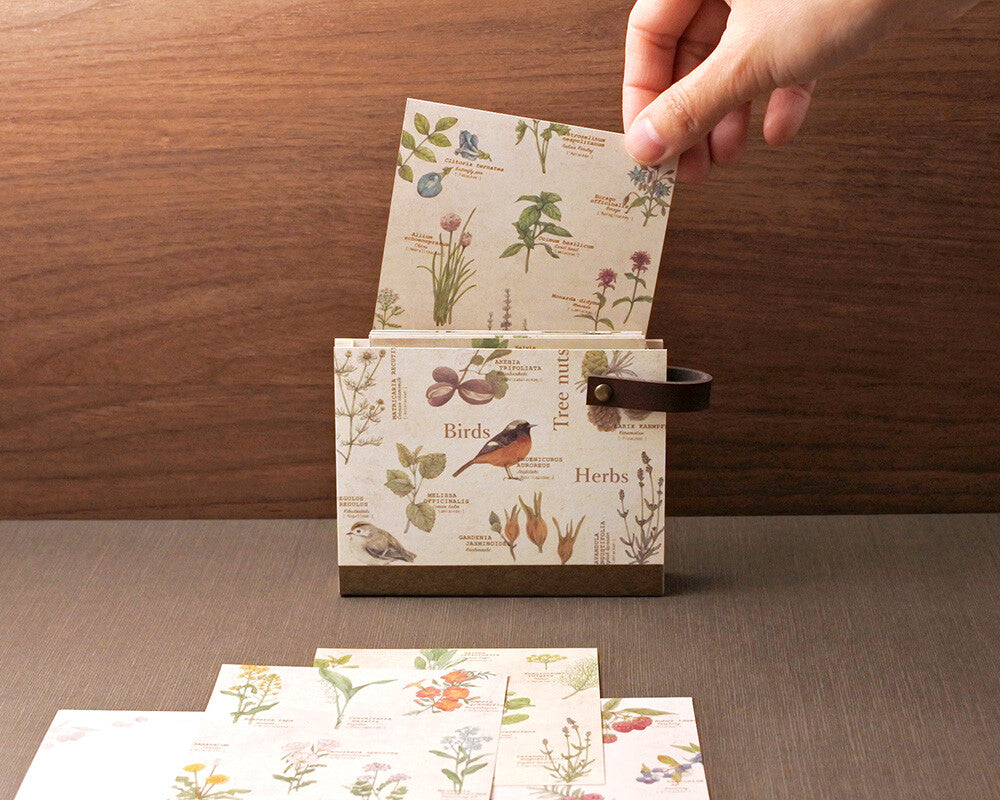 RETRONOME さんさく図鑑風メモ便箋+卓上ホルダー