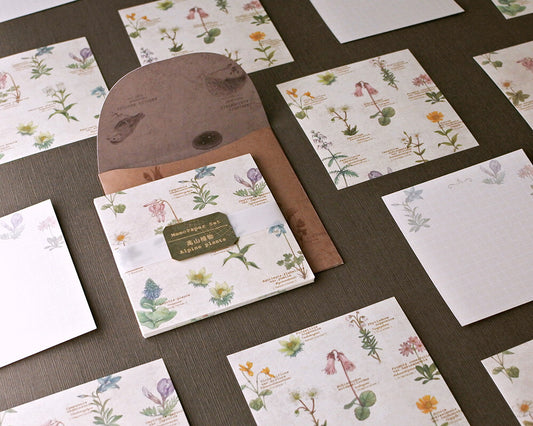 RETRONOME 図鑑風メモ便箋 (ケース付け）