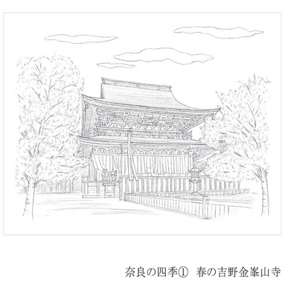 Colouring for Adults