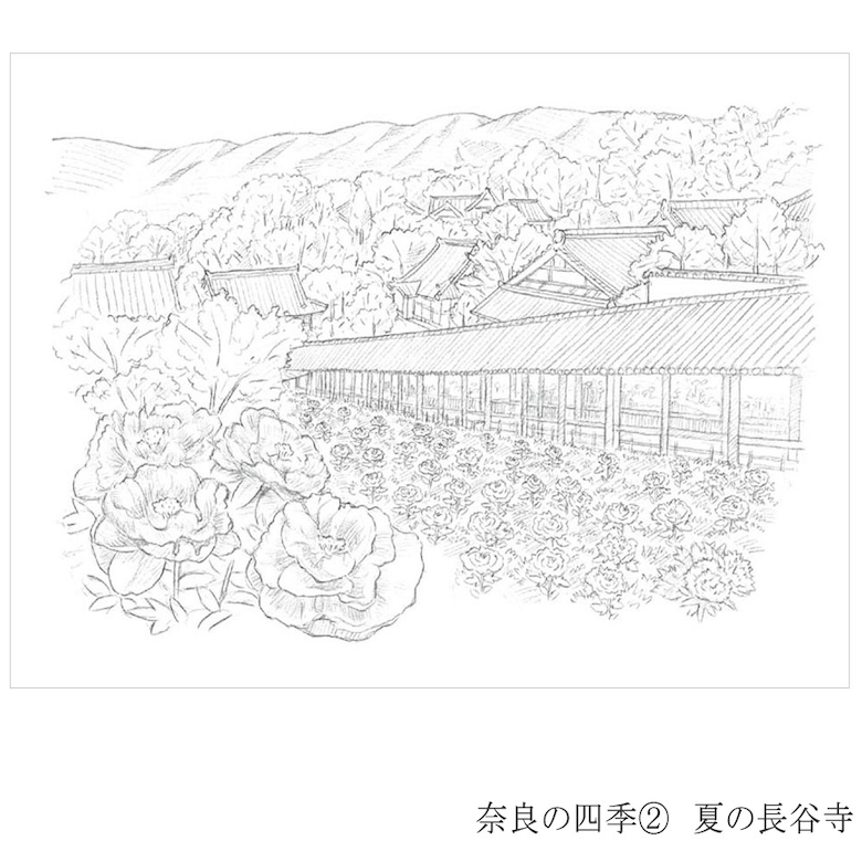 Colouring for Adults