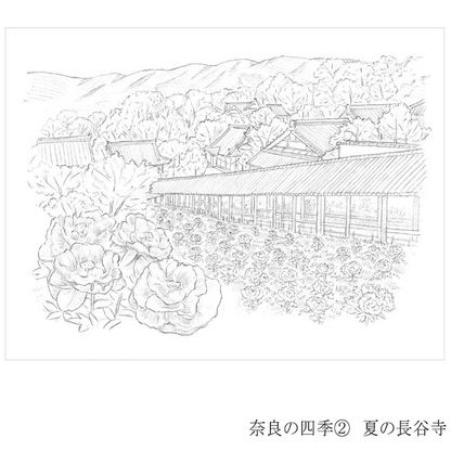 Colouring for Adults