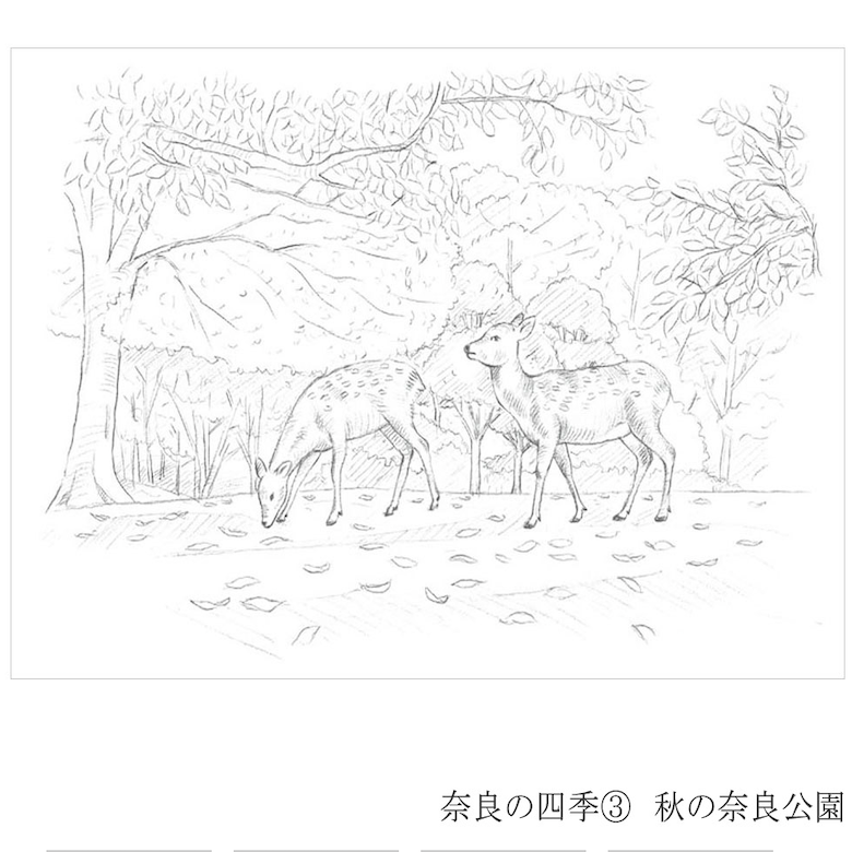 Colouring for Adults