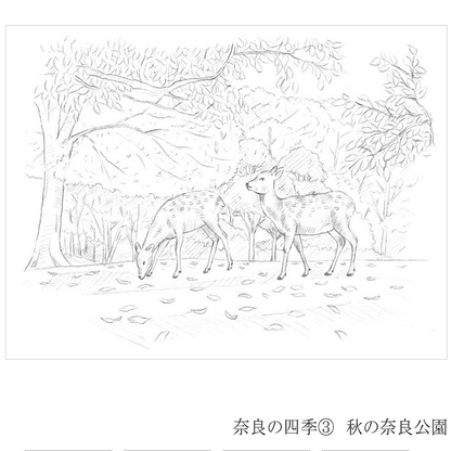 Colouring for Adults