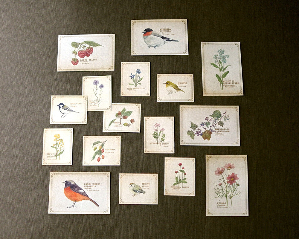 RETRONOME assorted paper set