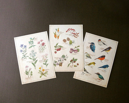 RETRONOME assorted paper set