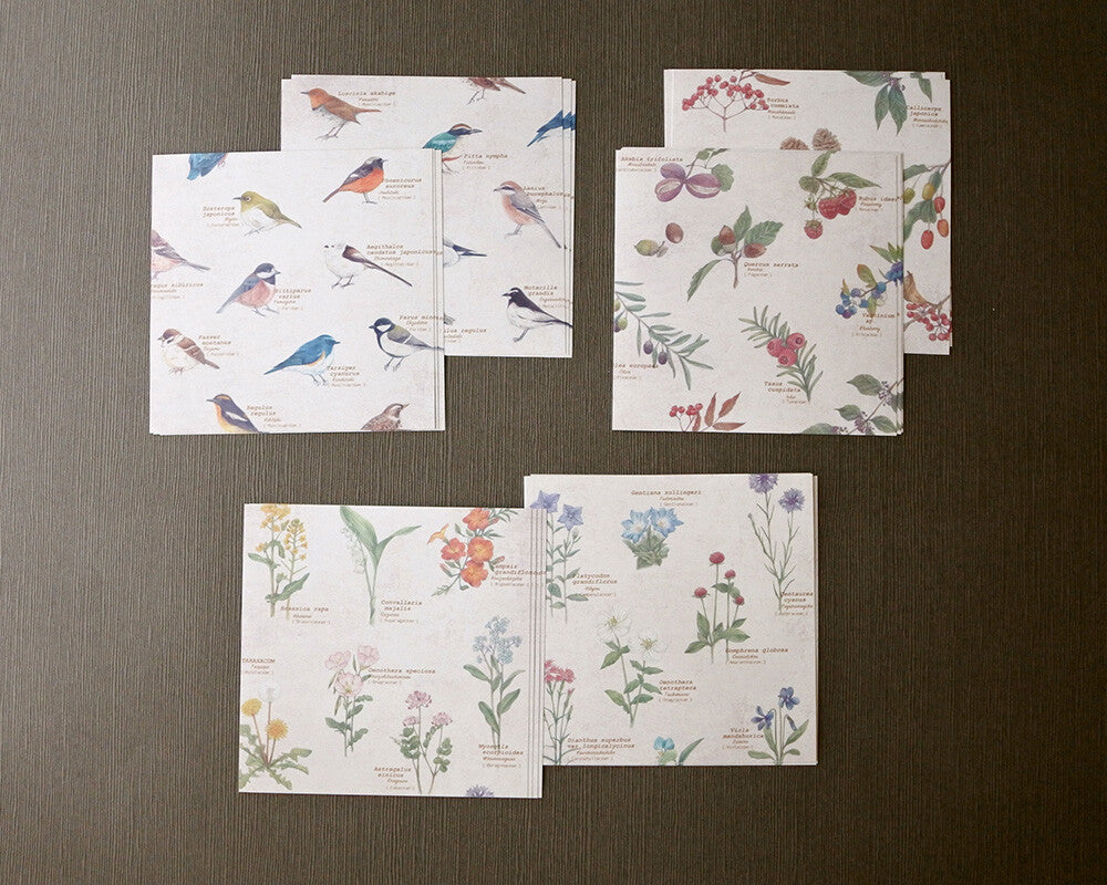 RETRONOME assorted paper set