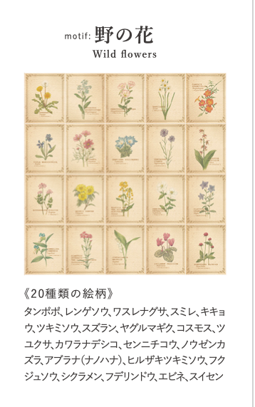 RETRONOME 図鑑風 小さなメッセージカードBOX